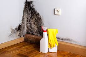 Best Environmental Consulting for Mold Prevention  in West Hollywood, CA